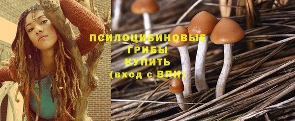 прущие крисы Бронницы