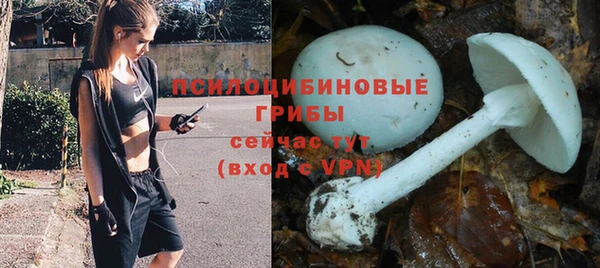 прущие крисы Бронницы