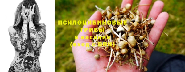 метадон Бородино
